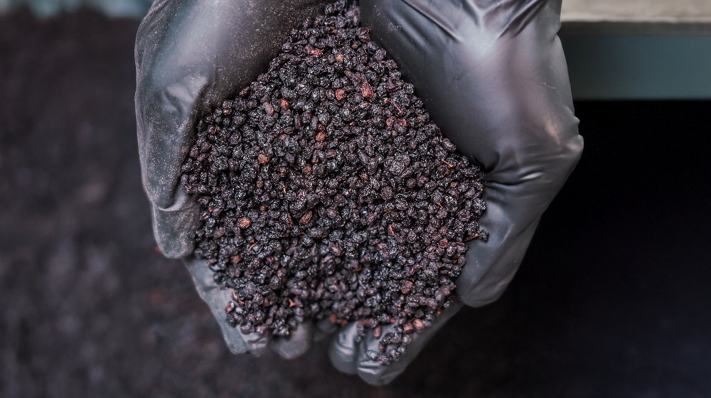Hands wearing black gloves holding a pile of dried elderberries used for brewing kombucha at Firefly Brew.